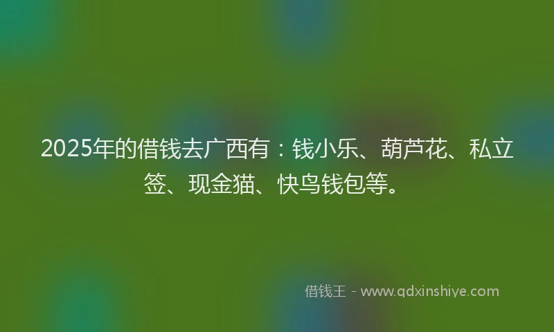 2025年的借钱去广西有：钱小乐、葫芦花、私立签、现金猫、快鸟钱包等。