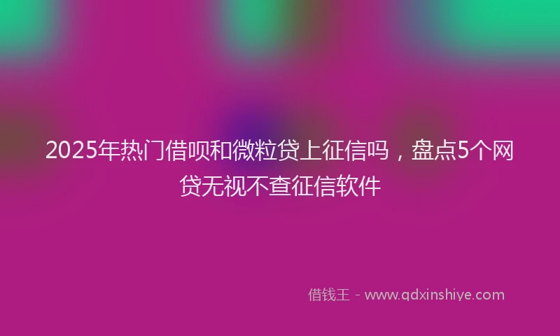 2025年热门借呗和微粒贷上征信吗，盘点5个网贷无视不查征信软件