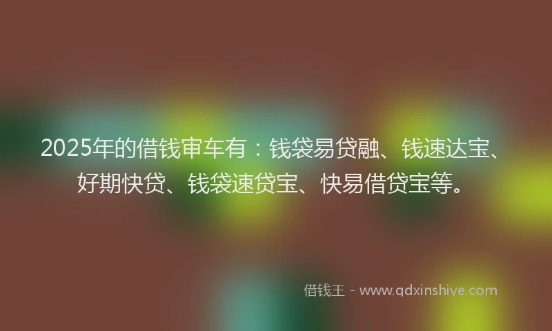 2025年的借钱审车有：钱袋易贷融、钱速达宝、好期快贷、钱袋速贷宝、快易借贷宝等。