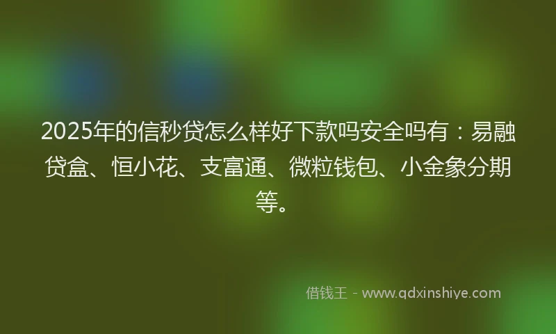 2025年的信秒贷怎么样好下款吗安全吗有：易融贷盒、恒小花、支富通、微粒钱包、小金象分期等。