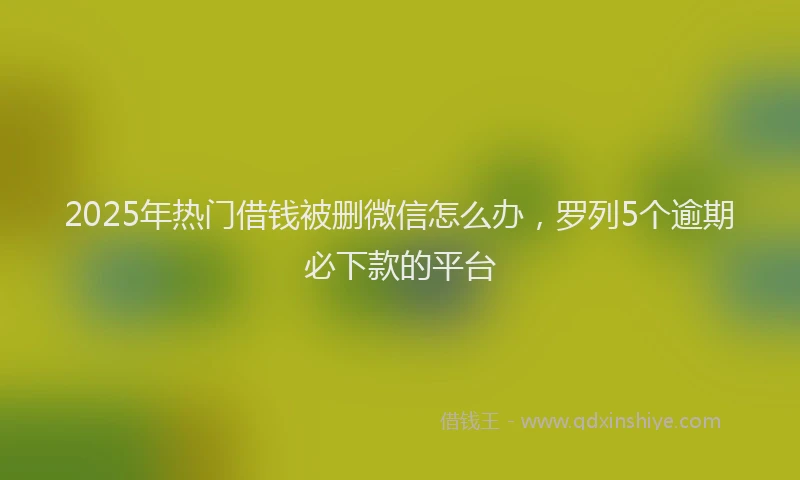 2025年热门借钱被删微信怎么办，罗列5个逾期必下款的平台