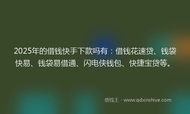 2025年的借钱快手下款吗有:借钱花速贷、钱袋快易、钱袋易借通、闪电侠钱包、快捷宝贷等。