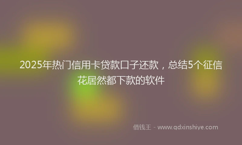 2025年热门信用卡贷款口子还款，总结5个征信花居然都下款的软件