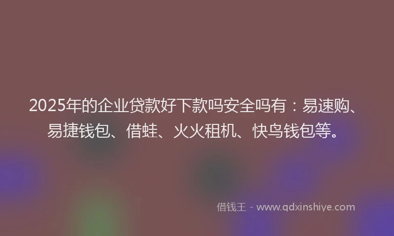 2025年的企业贷款好下款吗安全吗有：易速购、易捷钱包、借蛙、火火租机、快鸟钱包等。