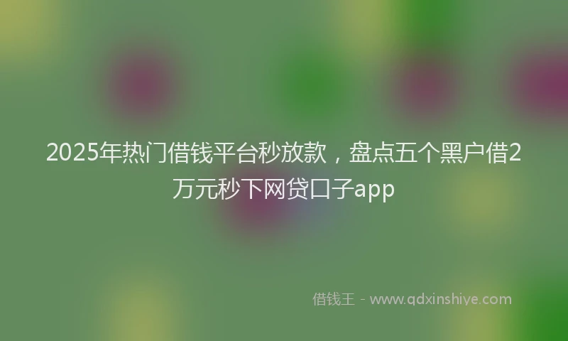 2025年热门借钱平台秒放款，盘点五个黑户借2万元秒下网贷口子app