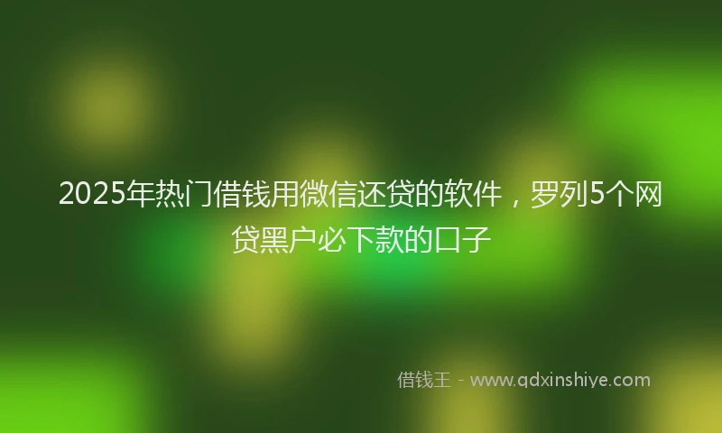 2025年热门借钱用微信还贷的软件，罗列5个网贷黑户必下款的口子