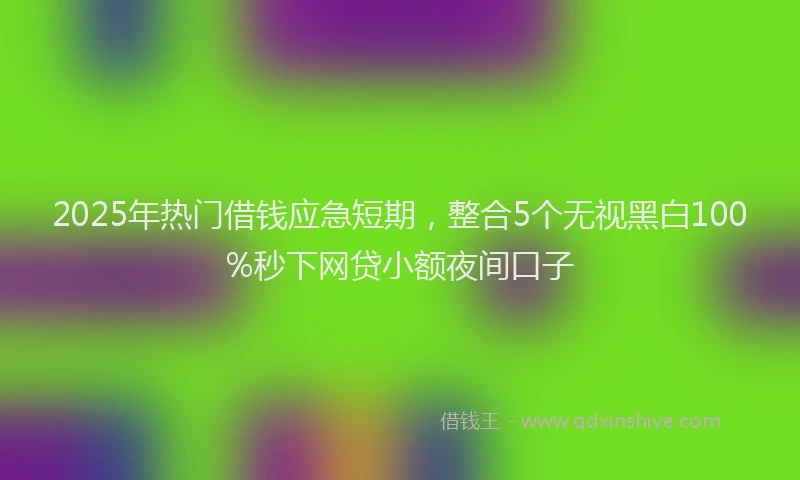 2025年热门借钱应急短期，整合5个无视黑白100%秒下网贷小额夜间口子