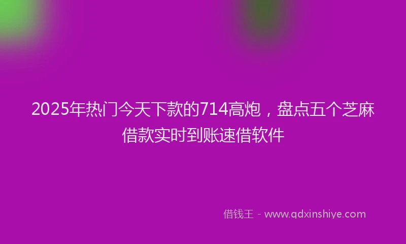 2025年热门今天下款的714高炮，盘点五个芝麻借款实时到账速借软件