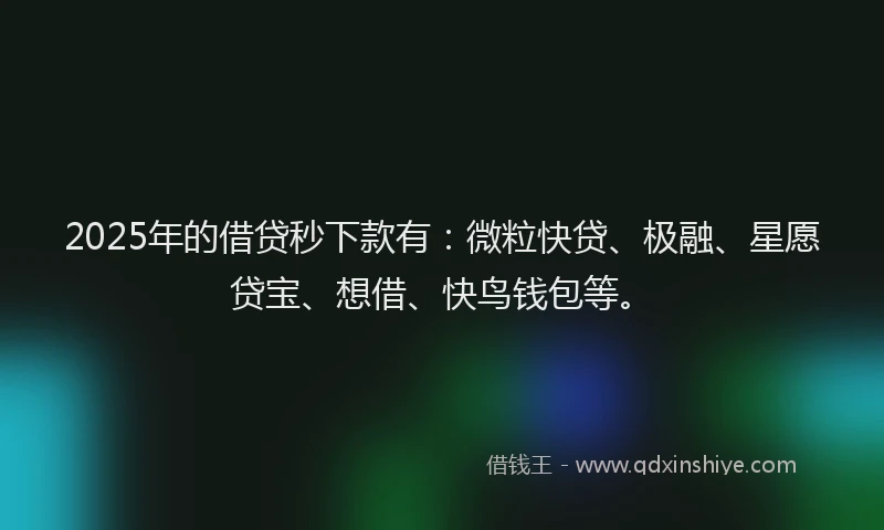 2025年的借贷秒下款有：微粒快贷、极融、星愿贷宝、想借、快鸟钱包等。