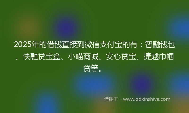 2025年的借钱直接到微信支付宝的有：智融钱包、快融贷宝盒、小喵商城、安心贷宝、捷越巾帼贷等。