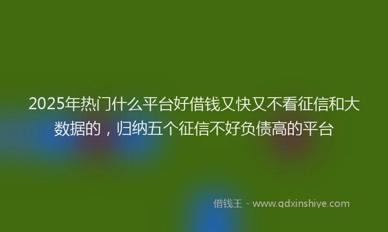 2025年热门什么平台好借钱又快又不看征信和大数据的，归纳五个征信不好负债高的平台