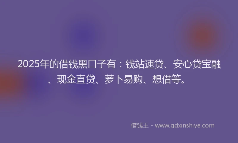 2025年的借钱黑口子有：钱站速贷、安心贷宝融、现金直贷、萝卜易购、想借等。