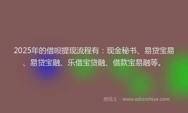 2025年的借呗提现流程有:现金秘书、易贷宝易、易贷宝融、乐借宝贷融、借款宝易融等。