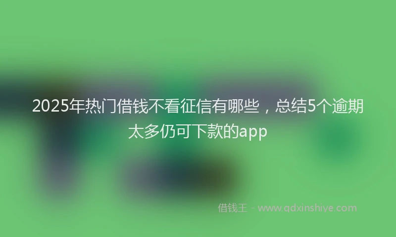 2025年热门借钱不看征信有哪些，总结5个逾期太多仍可下款的app