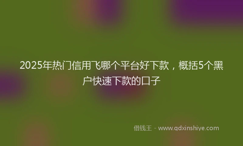 2025年热门信用飞哪个平台好下款，概括5个黑户快速下款的口子