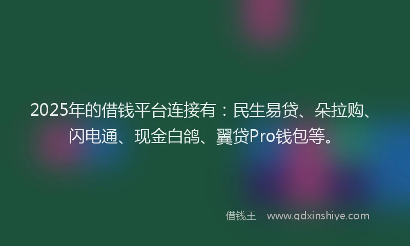 2025年的借钱平台连接有：民生易贷、朵拉购、闪电通、现金白鸽、翼贷Pro钱包等。