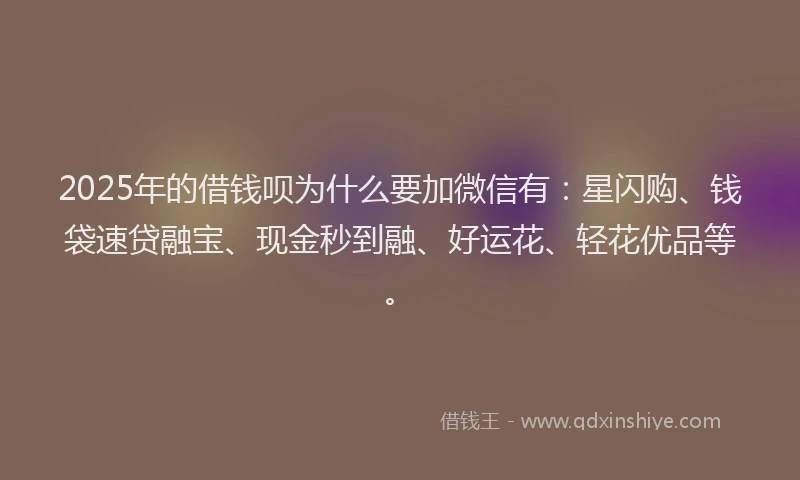 2025年的借钱呗为什么要加微信有：星闪购、钱袋速贷融宝、现金秒到融、好运花、轻花优品等。