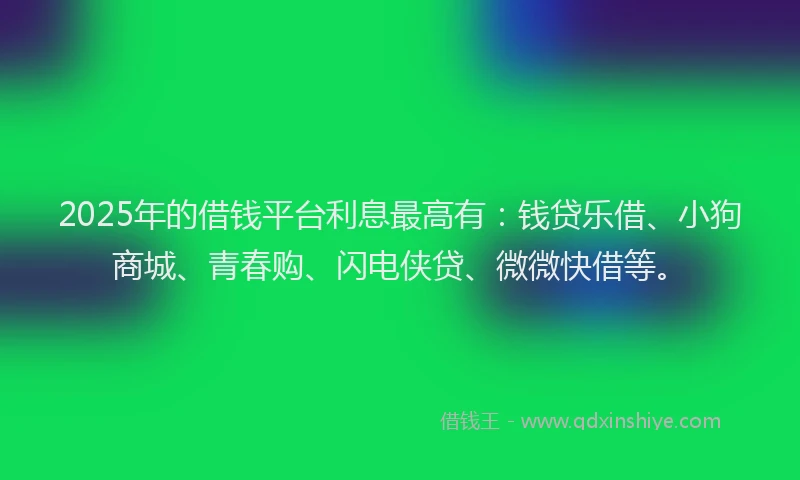 2025年的借钱平台利息最高有：钱贷乐借、小狗商城、青春购、闪电侠贷、微微快借等。