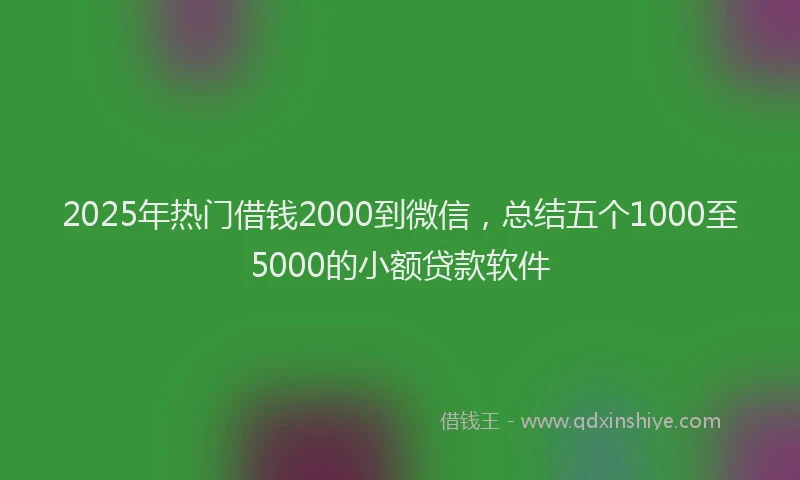 2025年热门借钱2000到微信，总结五个1000至5000的小额贷款软件
