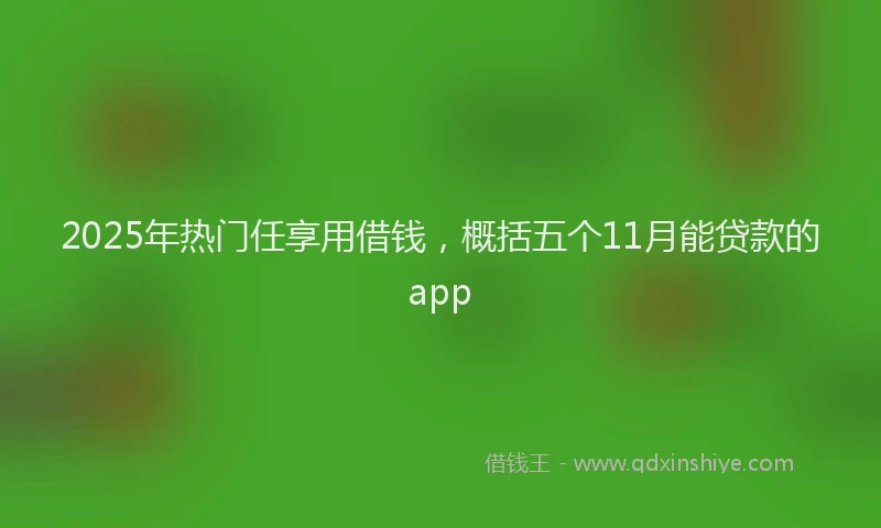 2025年热门任享用借钱，概括五个11月能贷款的app