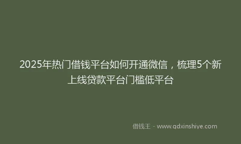 2025年热门借钱平台如何开通微信，梳理5个新上线贷款平台门槛低平台