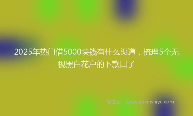 2025年热门借5000块钱有什么渠道，梳理5个无视黑白花户的下款口子