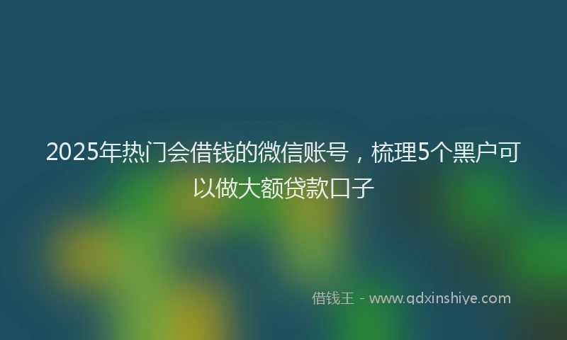 2025年热门会借钱的微信账号，梳理5个黑户可以做大额贷款口子