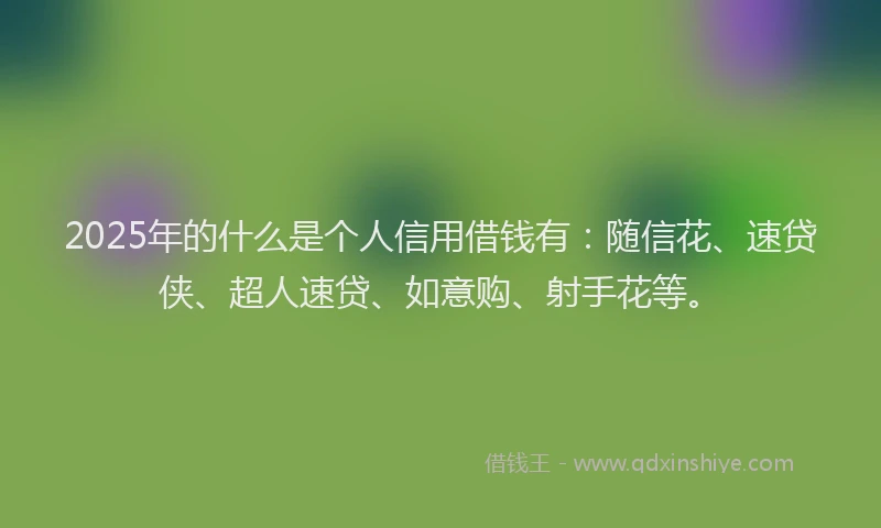 2025年的什么是个人信用借钱有：随信花、速贷侠、超人速贷、如意购、射手花等。