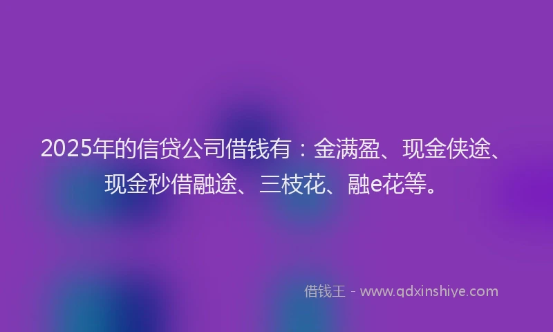 2025年的信贷公司借钱有：金满盈、现金侠途、现金秒借融途、三枝花、融e花等。