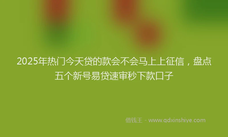 2025年热门今天贷的款会不会马上上征信，盘点五个新号易贷速审秒下款口子