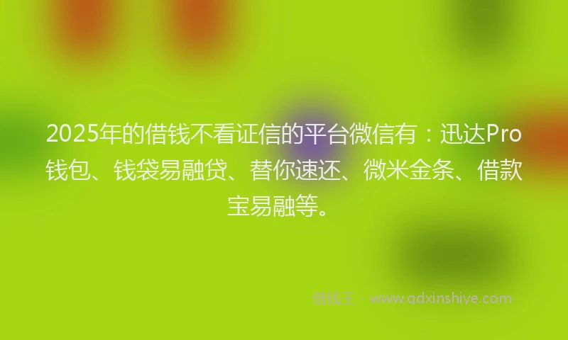 2025年的借钱不看证信的平台微信有：迅达Pro钱包、钱袋易融贷、替你速还、微米金条、借款宝易融等。