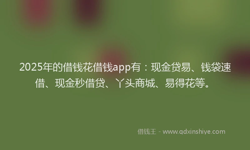2025年的借钱花借钱app有：现金贷易、钱袋速借、现金秒借贷、丫头商城、易得花等。