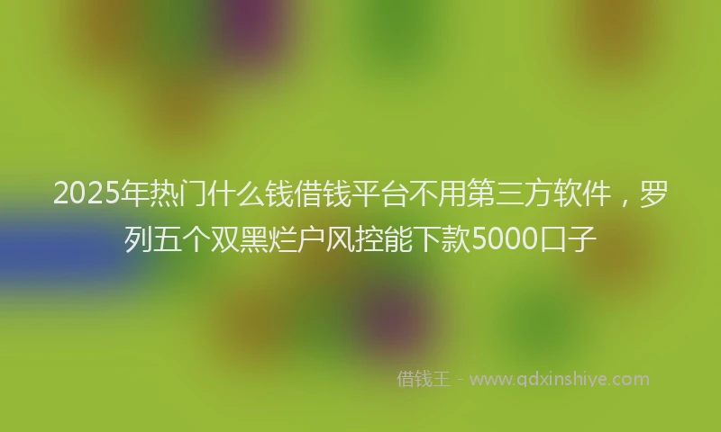 2025年热门什么钱借钱平台不用第三方软件，罗列五个双黑烂户风控能下款5000口子