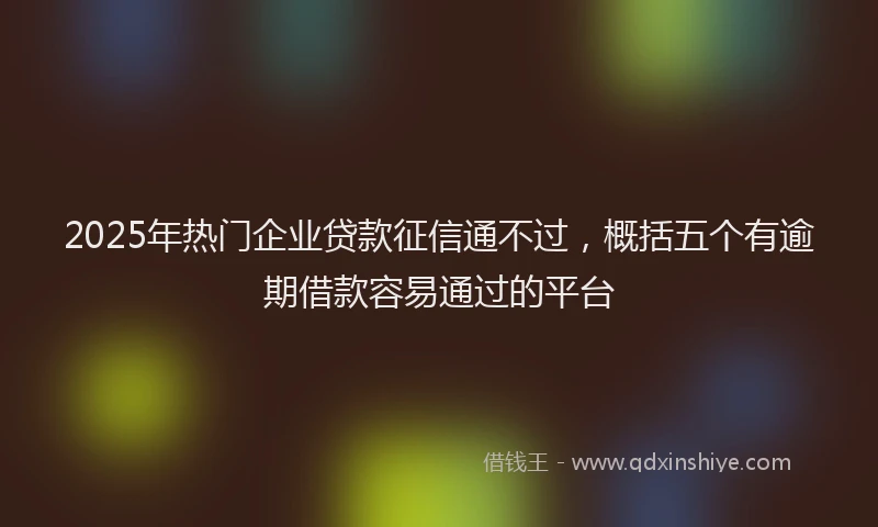 2025年热门企业贷款征信通不过，概括五个有逾期借款容易通过的平台