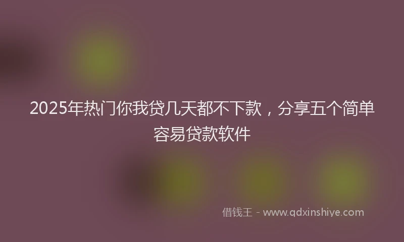 2025年热门你我贷几天都不下款，分享五个简单容易贷款软件