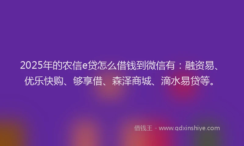 2025年的农信e贷怎么借钱到微信有：融资易、优乐快购、够享借、森泽商城、滴水易贷等。