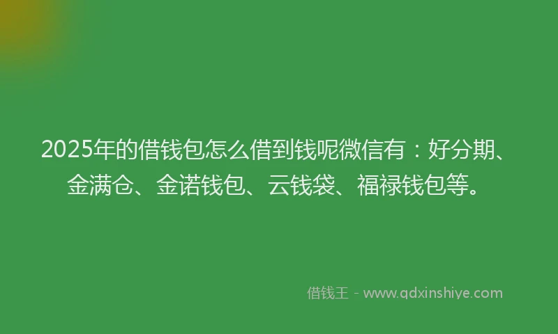 2025年的借钱包怎么借到钱呢微信有：好分期、金满仓、金诺钱包、云钱袋、福禄钱包等。