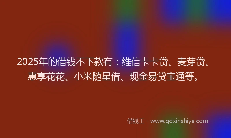 2025年的借钱不下款有：维信卡卡贷、麦芽贷、惠享花花、小米随星借、现金易贷宝通等。