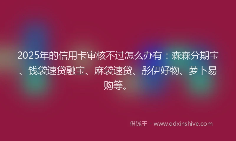 2025年的信用卡审核不过怎么办有：森森分期宝、钱袋速贷融宝、麻袋速贷、彤伊好物、萝卜易购等。