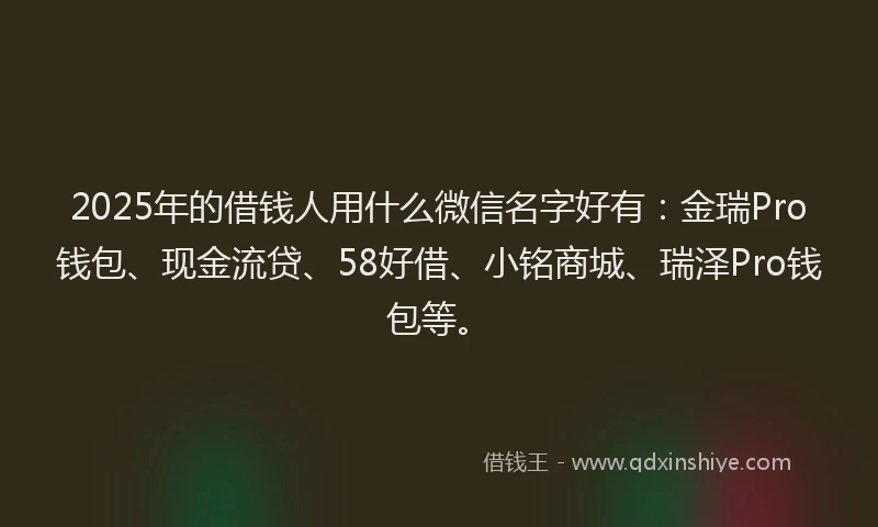 2025年的借钱人用什么微信名字好有：金瑞Pro钱包、现金流贷、58好借、小铭商城、瑞泽Pro钱包等。