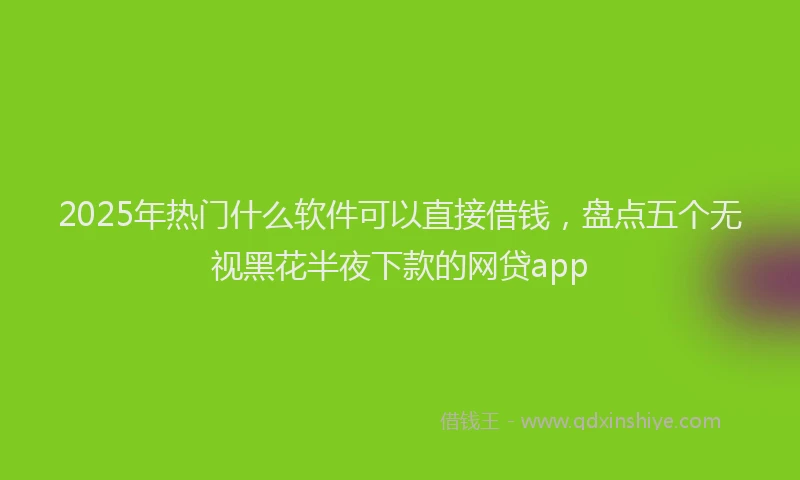 2025年热门什么软件可以直接借钱，盘点五个无视黑花半夜下款的网贷app
