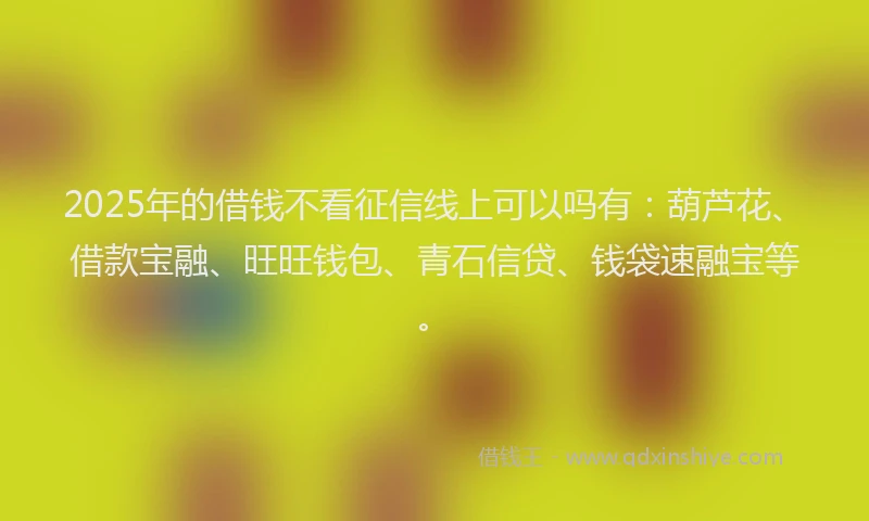 2025年的借钱不看征信线上可以吗有：葫芦花、借款宝融、旺旺钱包、青石信贷、钱袋速融宝等。