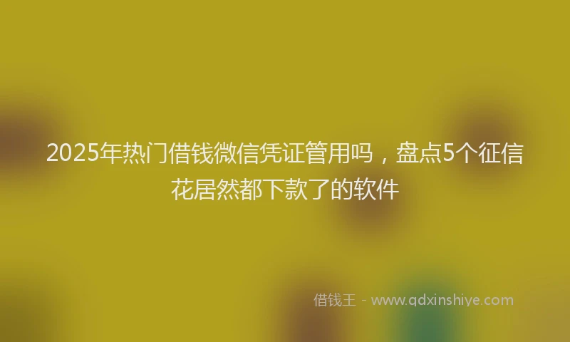 2025年热门借钱微信凭证管用吗，盘点5个征信花居然都下款了的软件
