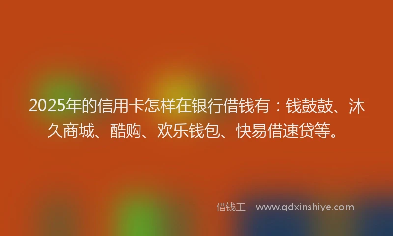 2025年的信用卡怎样在银行借钱有：钱鼓鼓、沐久商城、酷购、欢乐钱包、快易借速贷等。