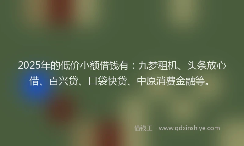 2025年的低价小额借钱有：九梦租机、头条放心借、百兴贷、口袋快贷、中原消费金融等。