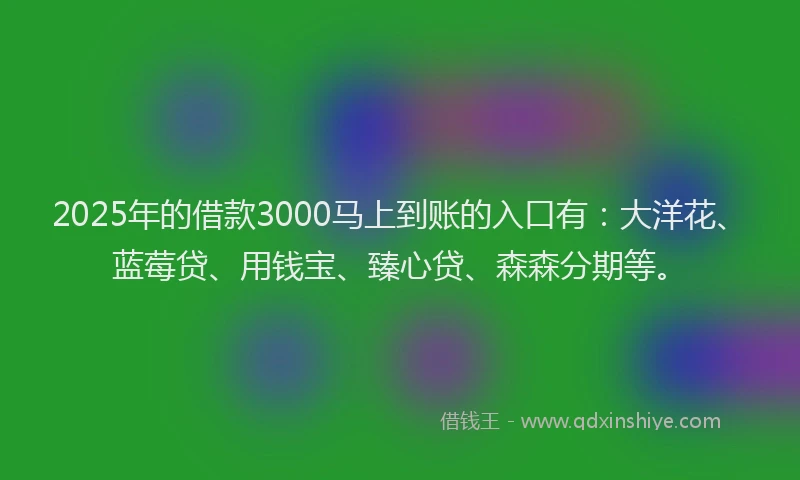 2025年的借款3000马上到账的入口有：大洋花、蓝莓贷、用钱宝、臻心贷、森森分期等。