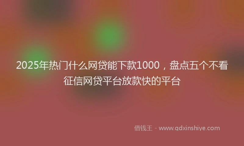 2025年热门什么网贷能下款1000，盘点五个不看征信网贷平台放款快的平台