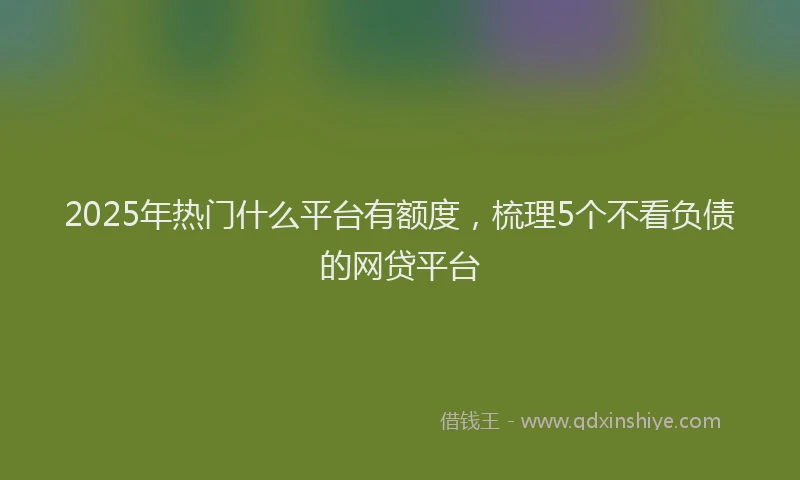 2025年热门什么平台有额度，梳理5个不看负债的网贷平台