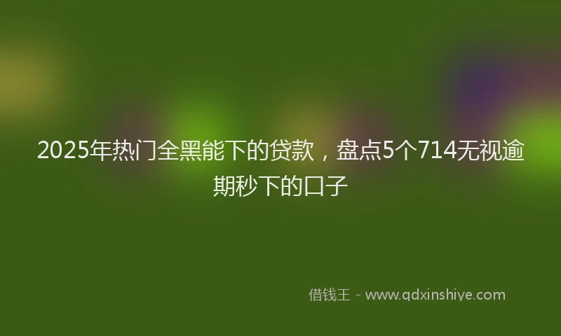 2025年热门全黑能下的贷款，盘点5个714无视逾期秒下的口子