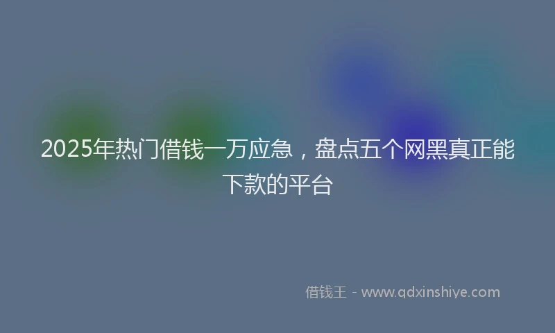 2025年热门借钱一万应急，盘点五个网黑真正能下款的平台